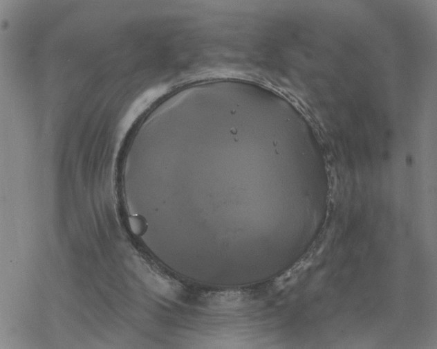 X0000076380104200610271538