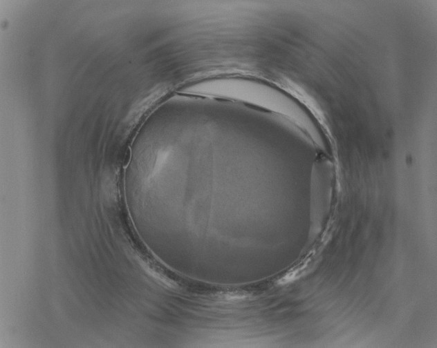 X0000076380105200610271538