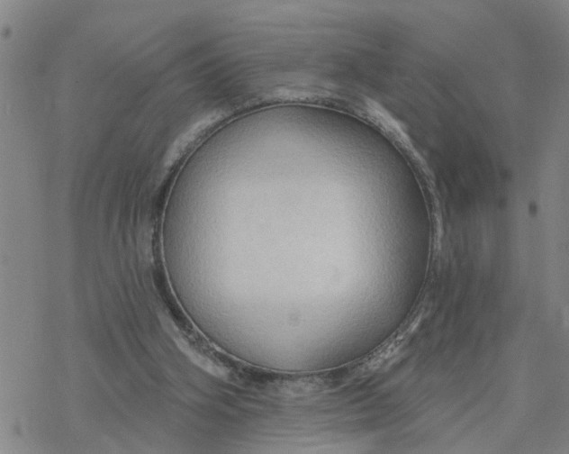 X0000076380106200610271538