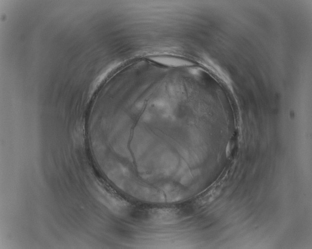 X0000076380107200610271538