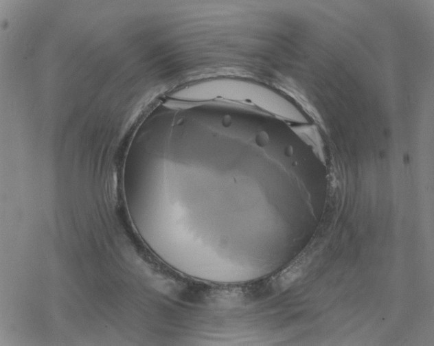 X0000076380110200610271538