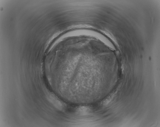 X0000076380111200610271538