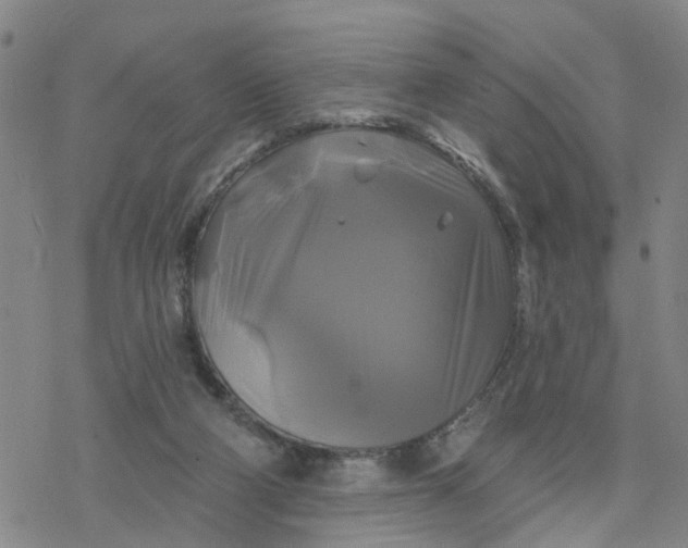 X0000076380114200610271538