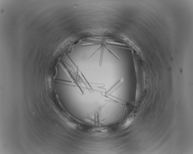 X0000076380117200610271538