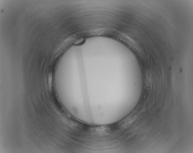 X0000076380118200610271538