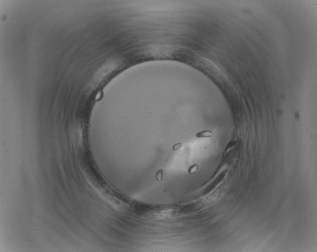 X0000076380120200610271538