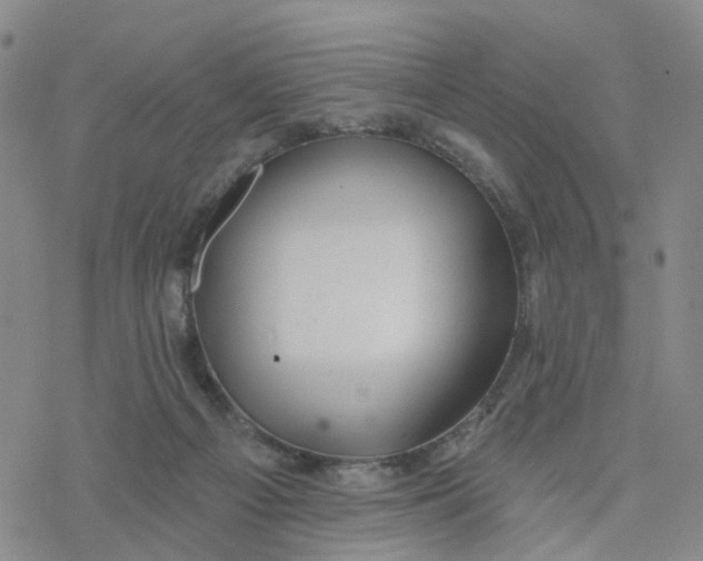 X0000076380121200610271538