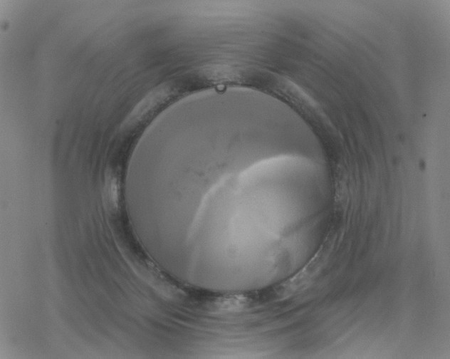 X0000076380124200610271537