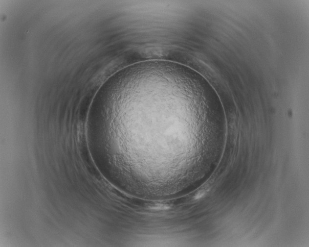 X0000076380125200610271537