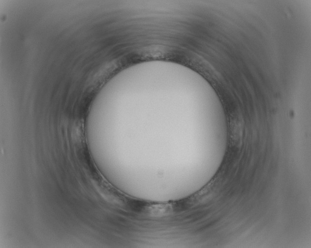 X0000076380126200610271537