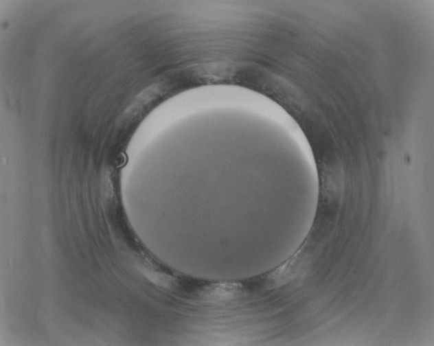 X0000076380128200610271537