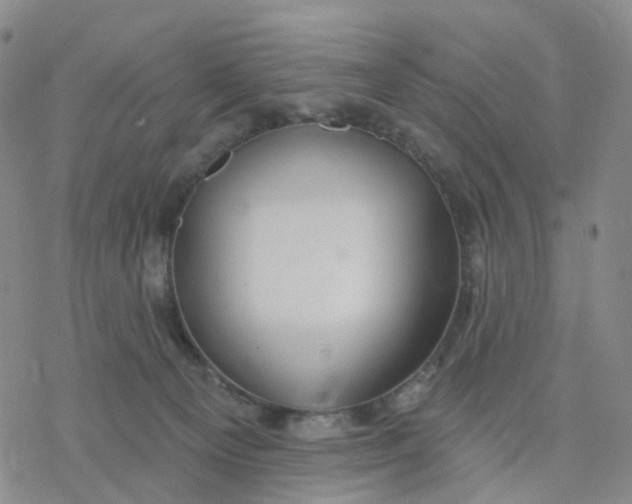 X0000076380129200610271537