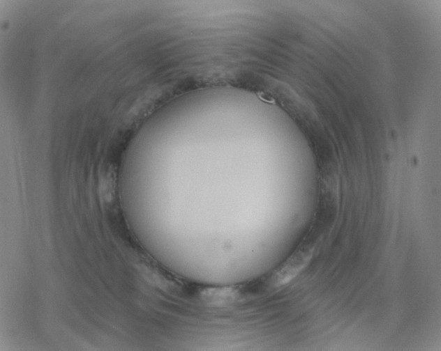 X0000076380133200610271537