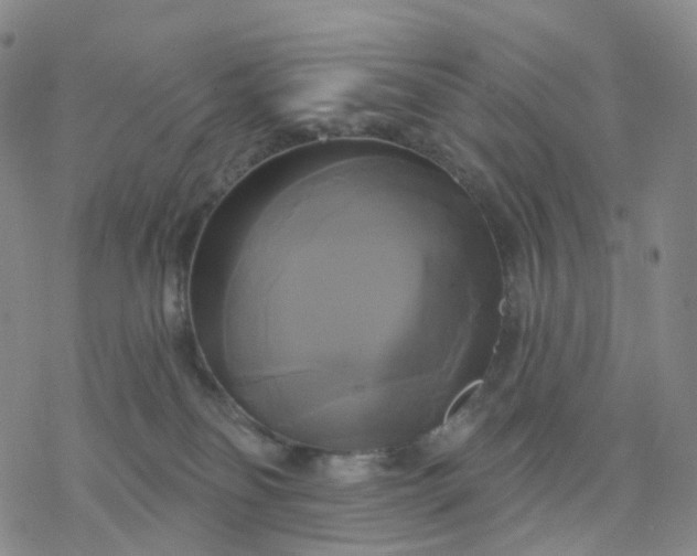 X0000076380134200610271537