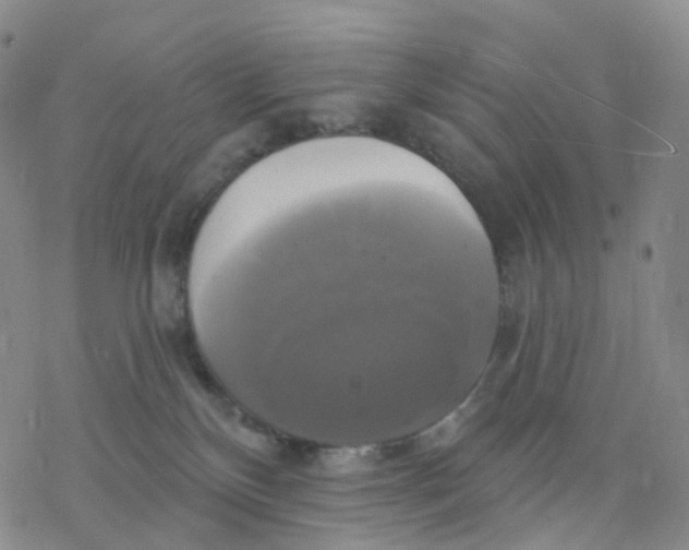 X0000076380136200610271537