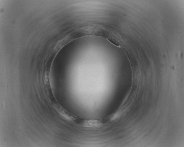 X0000076380137200610271537