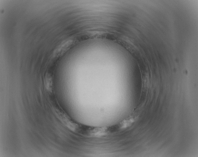 X0000076380138200610271537