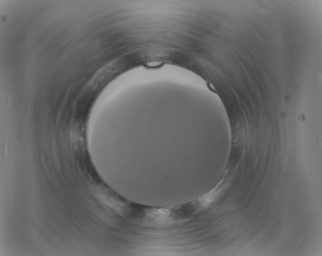 X0000076380140200610271537