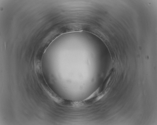 X0000076380141200610271537