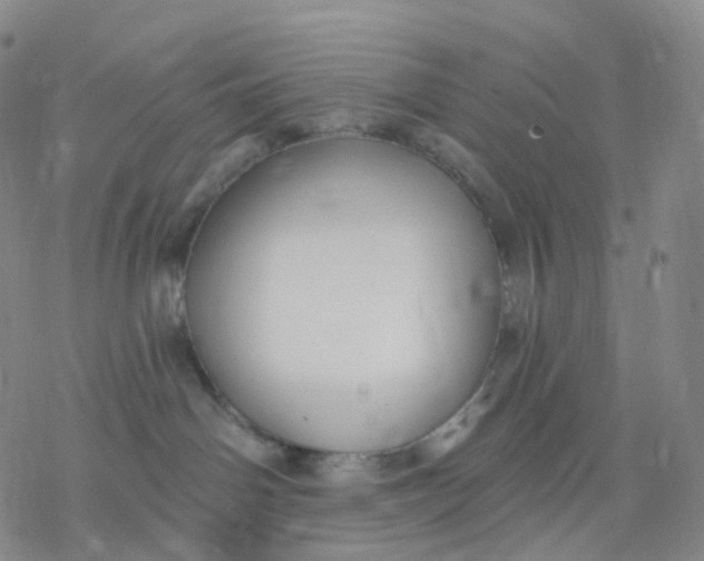 X0000076380142200610271537