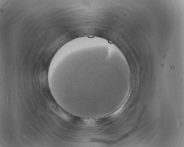 X0000076380144200610271537