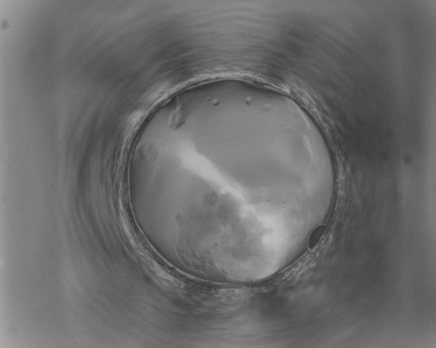 X0000076380145200610271536