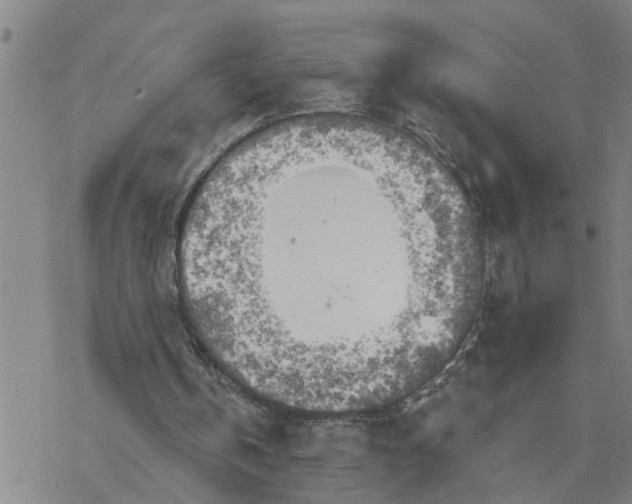 X0000076380146200610271536