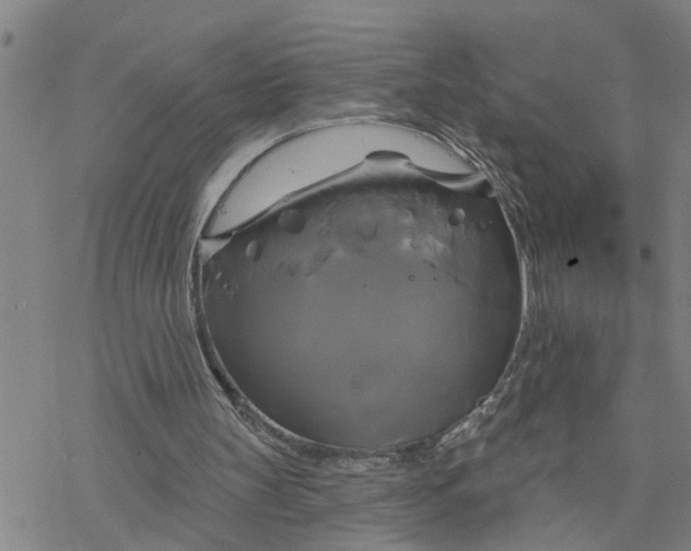 X0000076380147200610271536