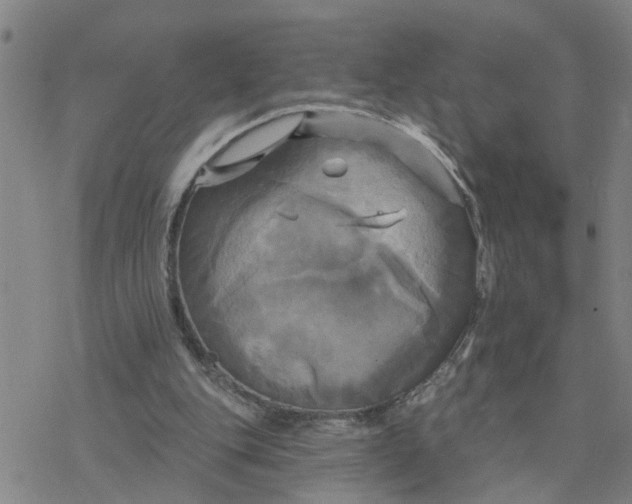 X0000076380151200610271536