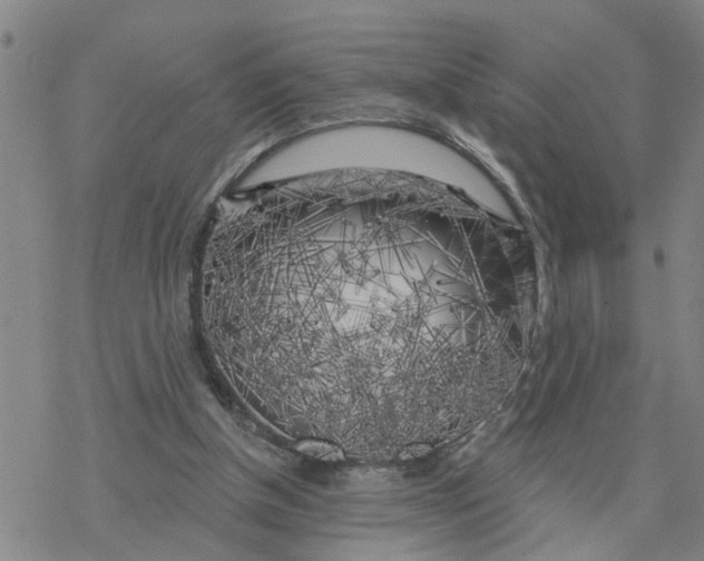 X0000076380154200610271537