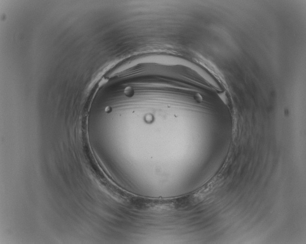 X0000076380155200610271537