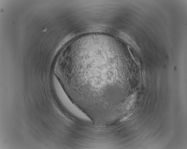 X0000076380156200610271537