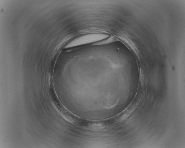 X0000076380157200610271537