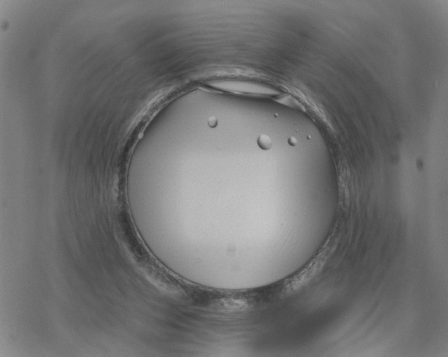 X0000076380159200610271537