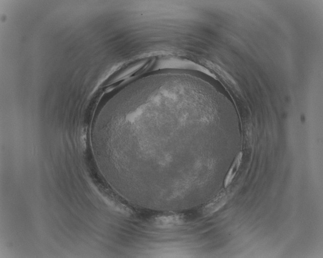 X0000076380160200610271537