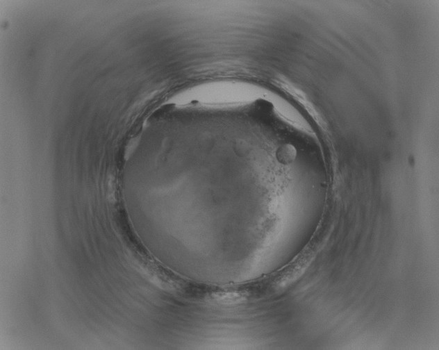 X0000076380161200610271537