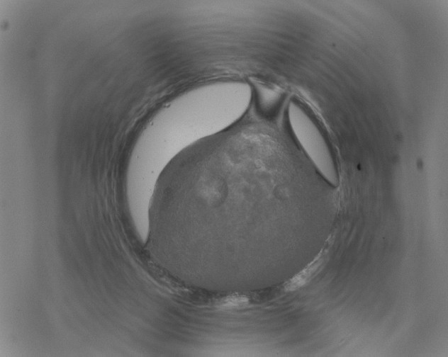 X0000076380162200610271537