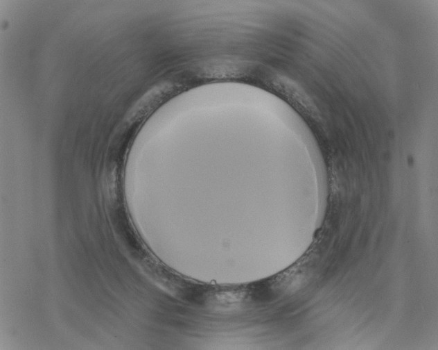 X0000076380163200610271537