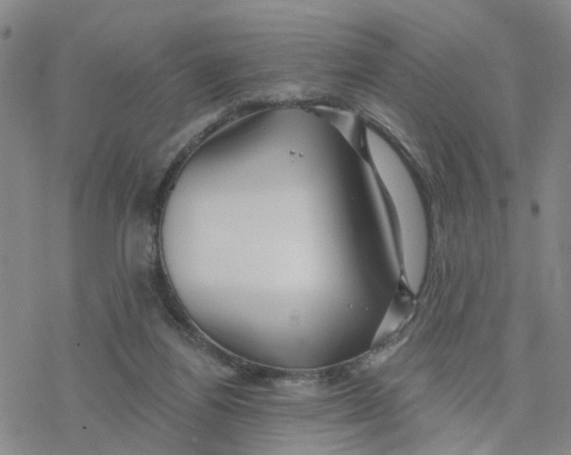 X0000076380164200610271537