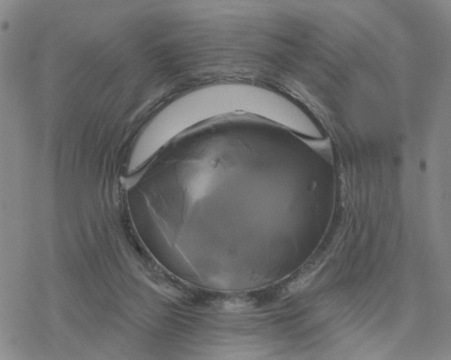 X0000076380165200610271537