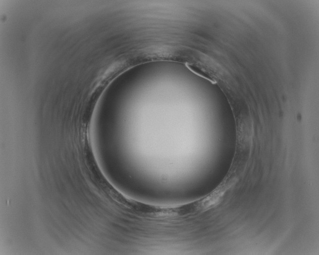 X0000076380168200610271537