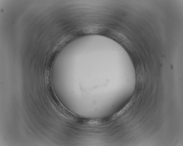 X0000076380171200610271537