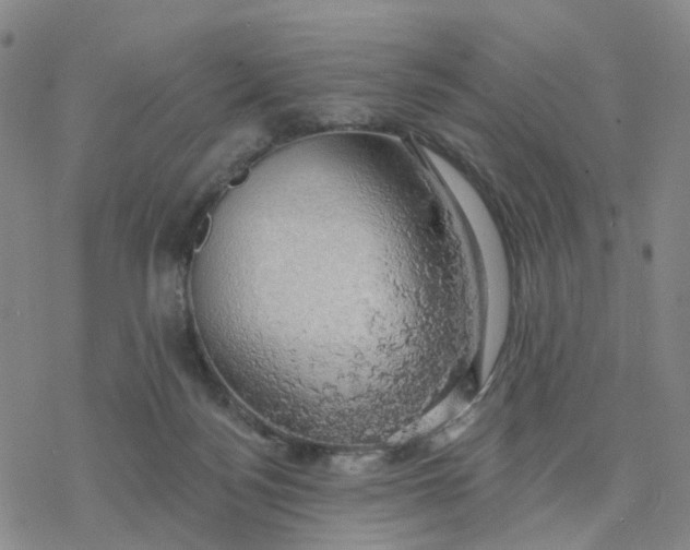 X0000076380172200610271537