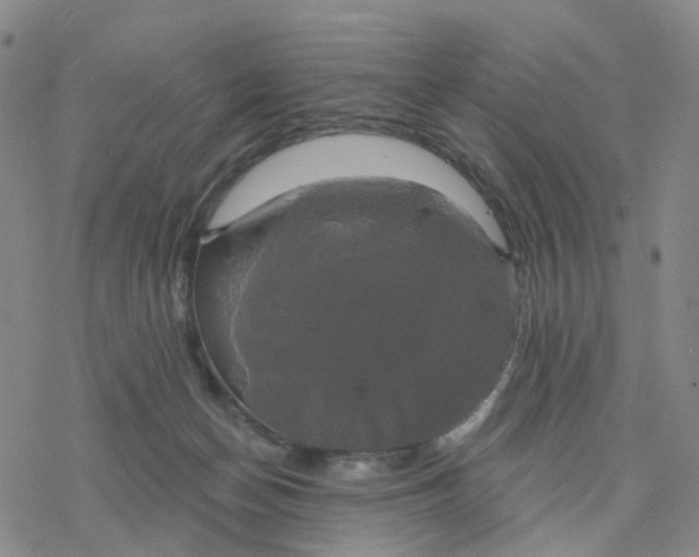 X0000076380174200610271537