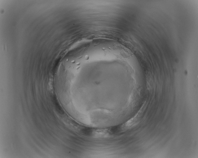 X0000076380175200610271537