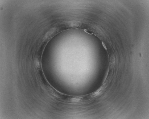 X0000076380176200610271537