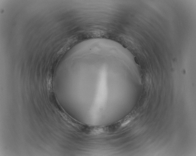 X0000076380177200610271537