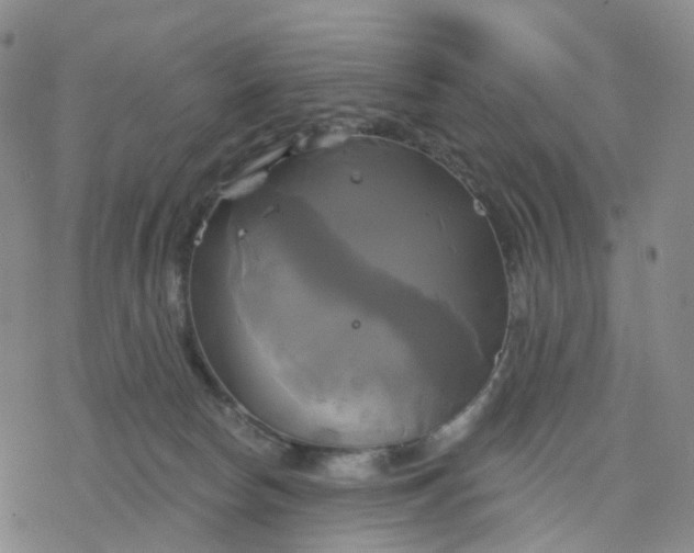 X0000076380178200610271537