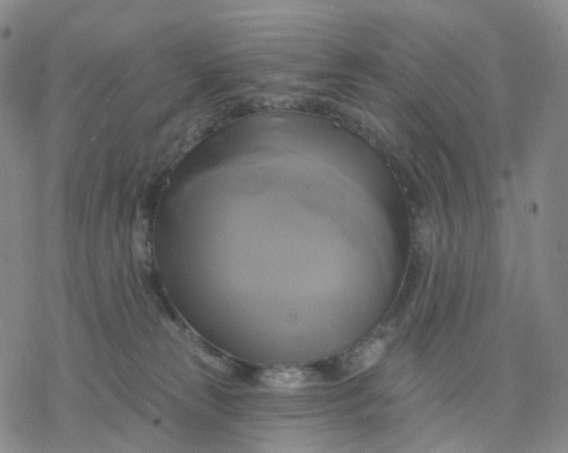 X0000076380181200610271537