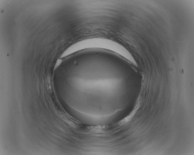 X0000076380182200610271537